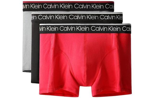 CKCalvin Klein Logo 13