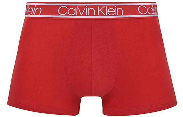 CKCalvin Klein Logo 3