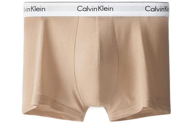 CKCalvin Klein Logo 2