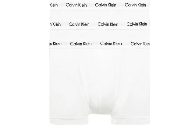 CKCalvin Klein Logo 3