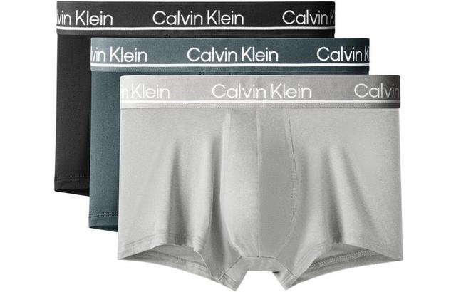 CKCalvin Klein Logo 3