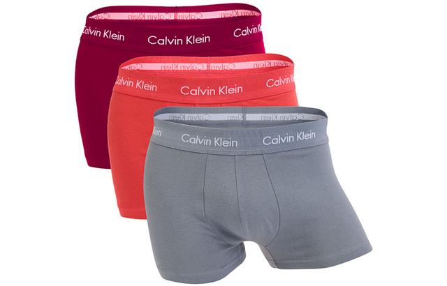 CKCalvin Klein Logo 3