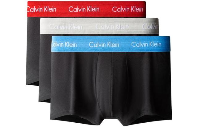 CKCalvin Klein Logo 13