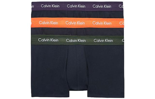 CKCalvin Klein Logo 13