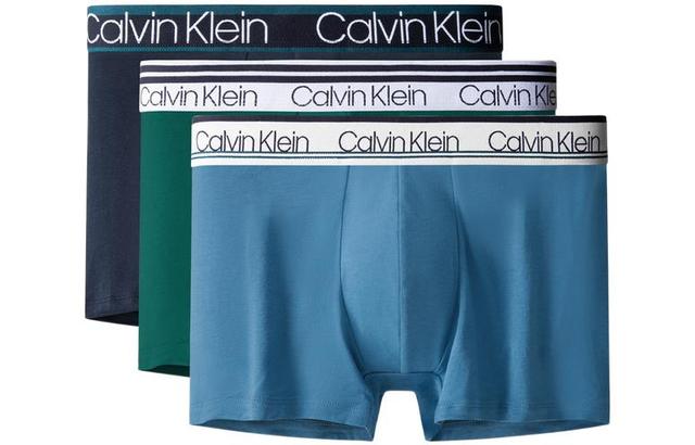 CKCalvin Klein Logo 13