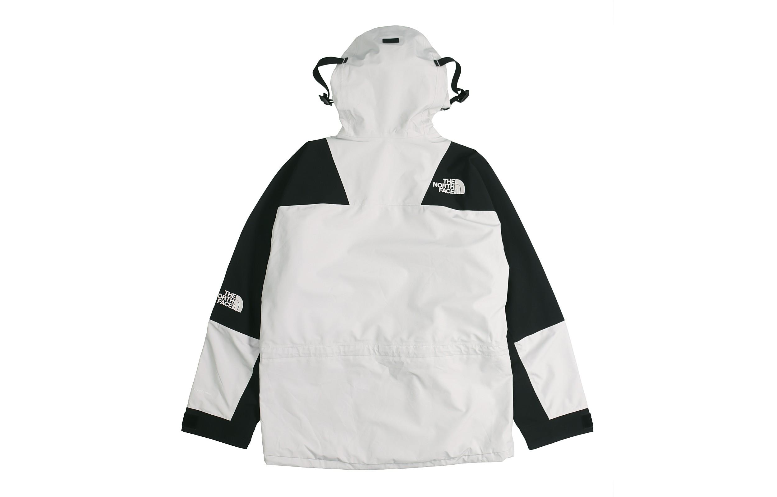 THE NORTH FACE 1994 Retro Mountain Futurelight