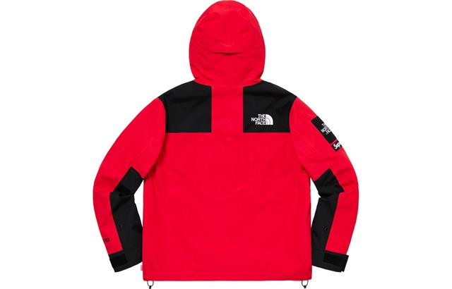 Supreme x THE NORTH FACE SS19 TNF