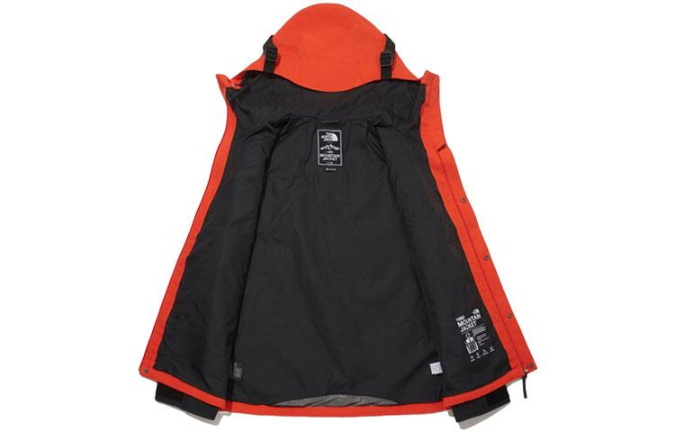 THE NORTH FACE Novelty Gtx Mountain Jacket