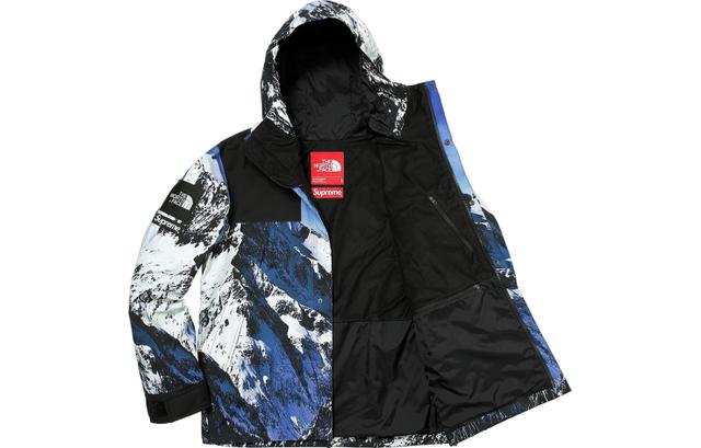 Supreme x THE NORTH FACE Mountain Parka