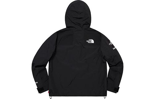 Supreme x THE NORTH FACE SS19 Logo