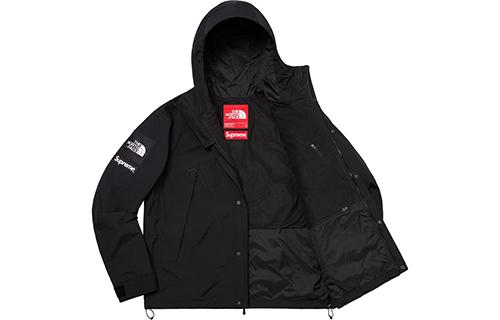 Supreme x THE NORTH FACE SS19 Logo