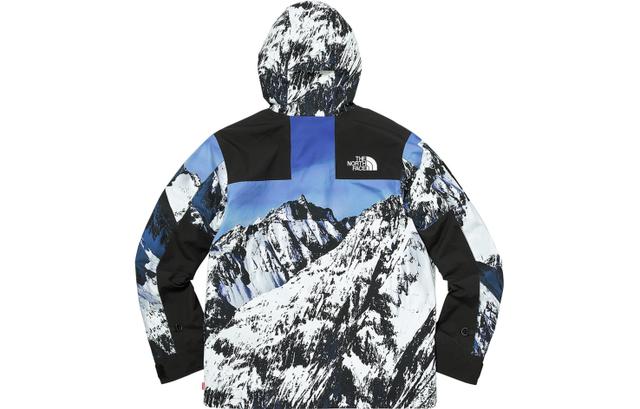 Supreme x THE NORTH FACE Mountain Parka