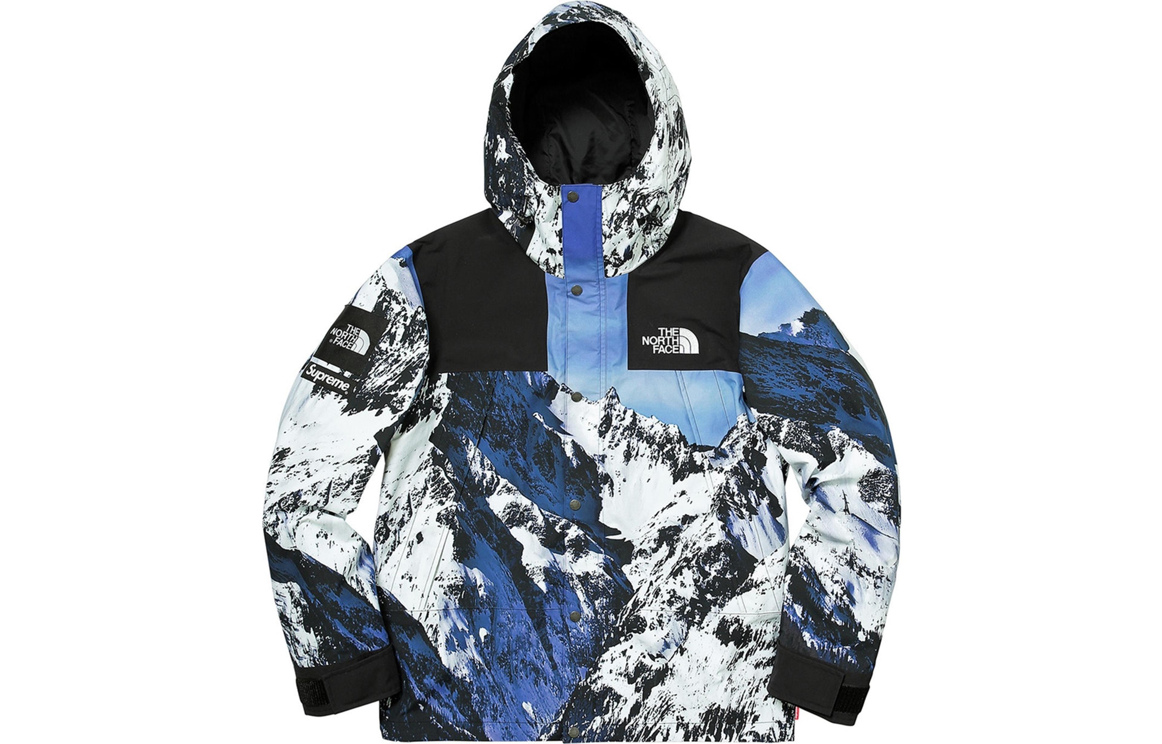 Supreme x THE NORTH FACE Mountain Parka