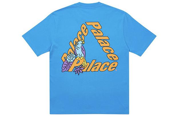 PALACE Parrot PALACE-3 T