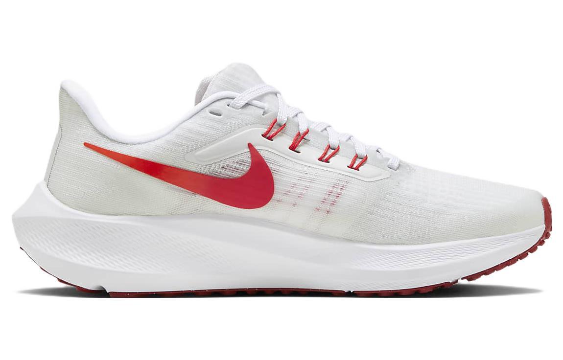 Nike Air Zoom Pegasus 39