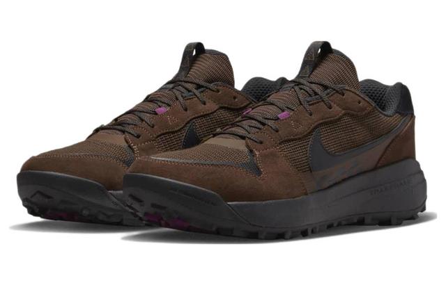 Nike ACG Lowcate