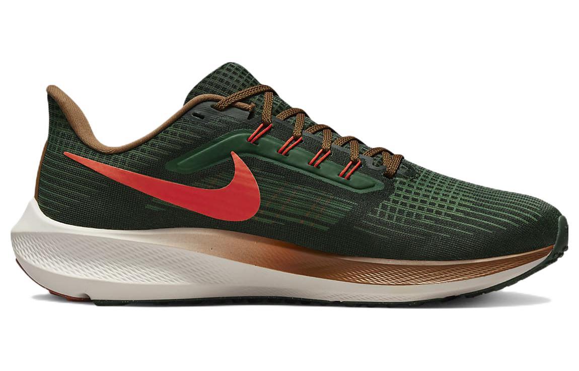 Nike Air Zoom Pegasus 39 "a.i.r. hola lou"