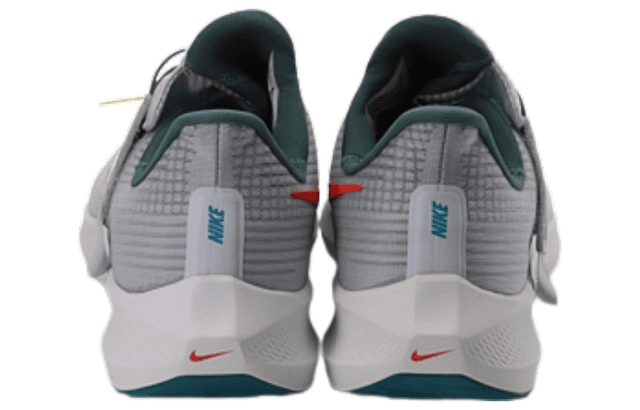 Nike zoom pegasus flyease