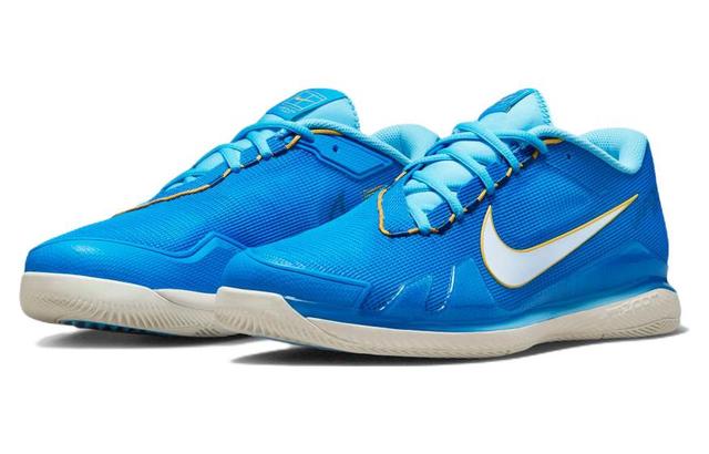 Nike Air Zoom Vapor pro Court