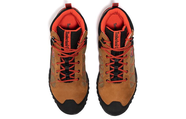 Timberland Trailquest