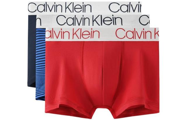 CKCalvin Klein Logo 3