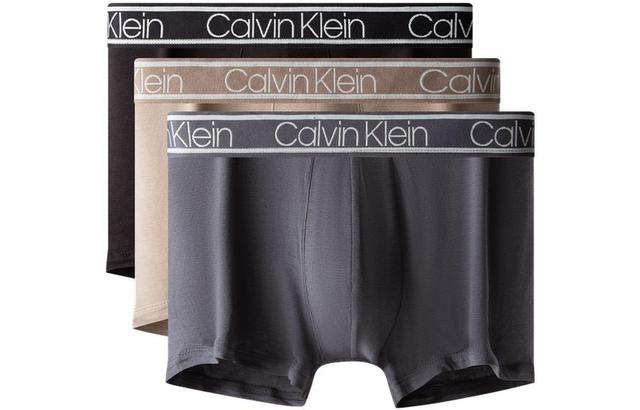 CKCalvin Klein Logo 3