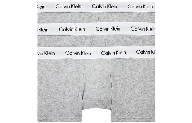 CKCalvin Klein Logo 3