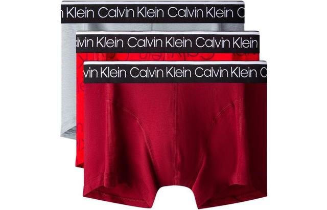 CKCalvin Klein Logo 3