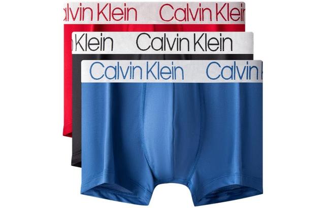 CKCalvin Klein Logo 3