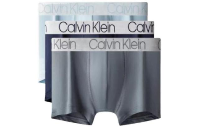 CKCalvin Klein Logo 3