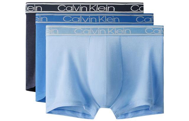 CKCalvin Klein Logo 3