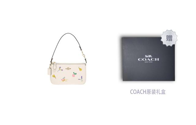 COACH Nolita 19