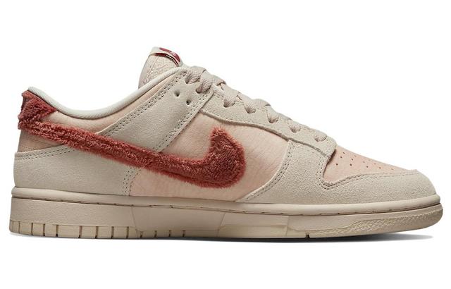 Nike Dunk Low "Terry Swoosh"