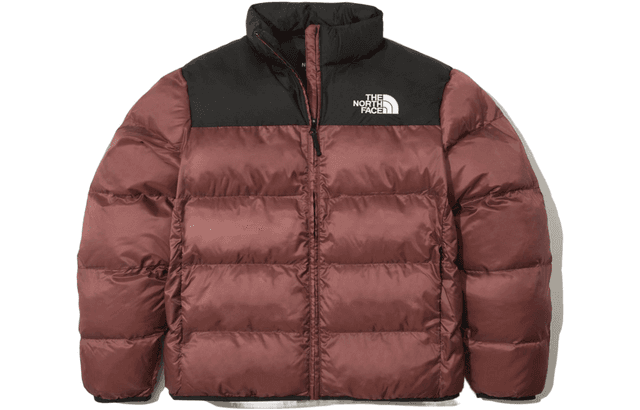 THE NORTH FACE Logo