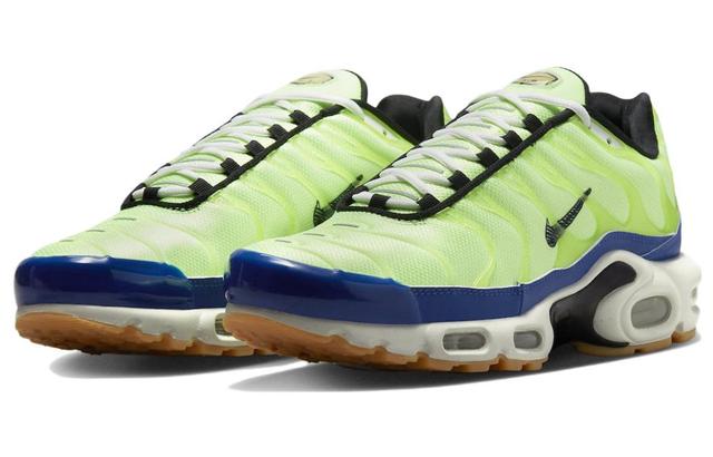 Nike Air Max Plus "M. Frank Rudy"