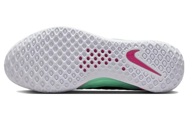 Nike Zoom Court NXT HC