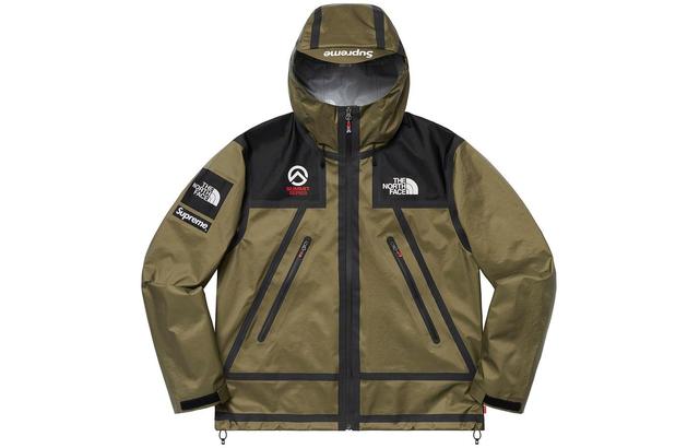 Supreme x THE NORTH FACE SS21TNF Logo