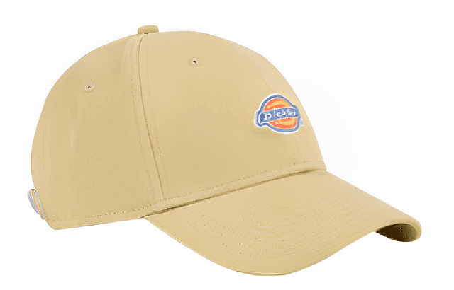 Dickies Logo