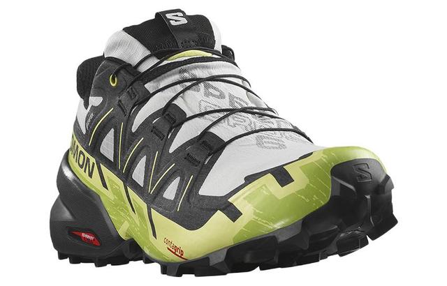 SALOMON 6 GTX