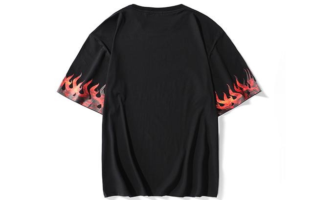 FireMonkey FireMonkey T