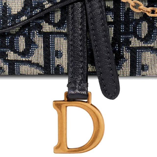 DIOR Saddle Oblique