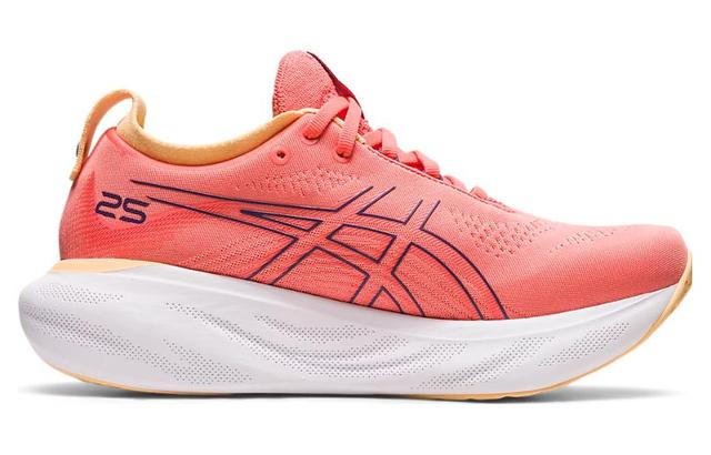 Asics GEL-Nimbus 25