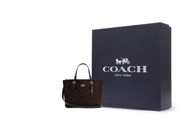 COACH Mollie 25 Tote