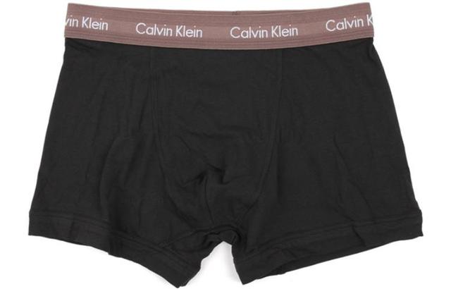 CKCalvin Klein Logo 3