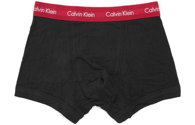 CKCalvin Klein Logo 3