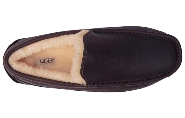 UGG Ascot