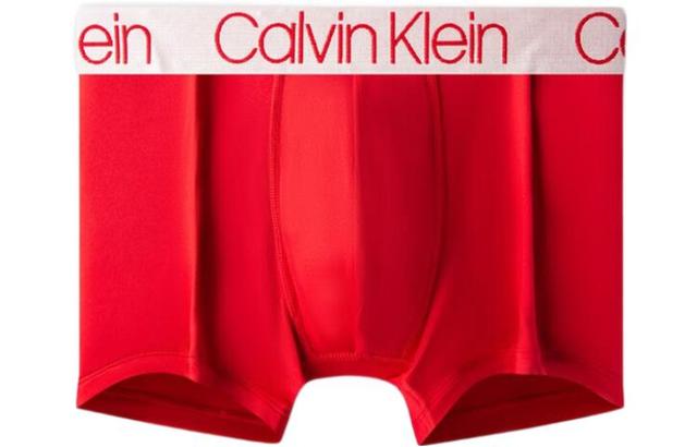 CKCalvin Klein Logo 3