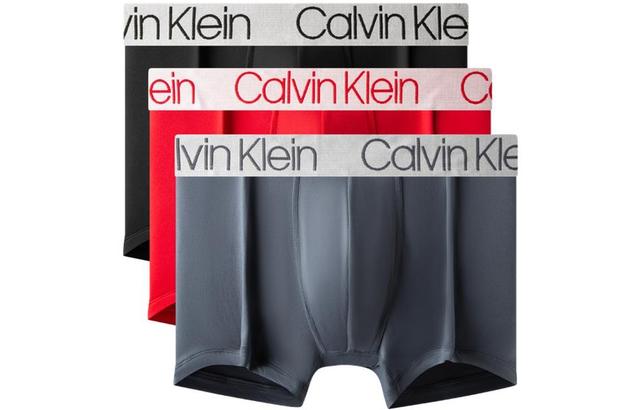 CKCalvin Klein Logo 3