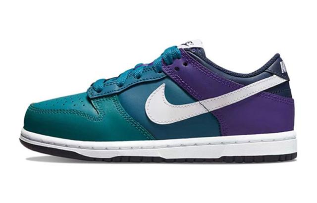 Nike Dunk Low 2.0 Vibe GS