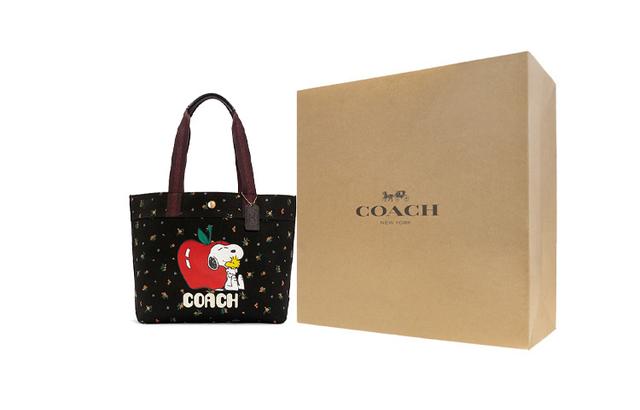 COACH X Peanuts Canvas 33 Snoopy Tote